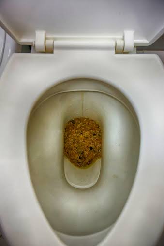 Kloset duduk berisi kotoran